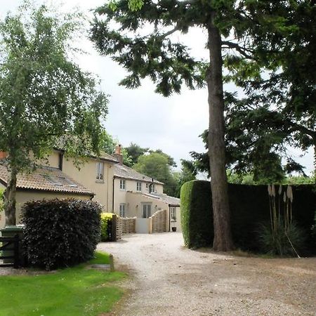 Pippin Heath House B&B Holt  Exteriör bild